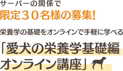 サーバーの関係で限定３０名様の募集！栄養学の基礎をオンラインで手軽に学べる「愛犬の栄養学基礎編オンライン講座」画像1