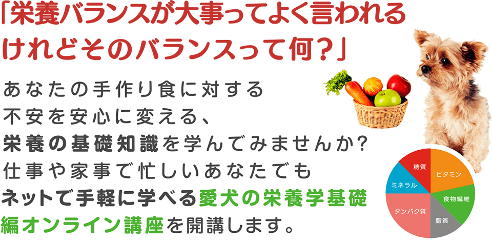 「栄養バランスが大事ってよく言われるけれどそのバランスって何？」あなたの手作り食に対する
不安を安心に変える、栄養の基礎知識を学んでみませんか？仕事や家事で忙しいあなたでもネットで手軽に学べる愛犬の栄養学基礎編オンライン講座を開講します。