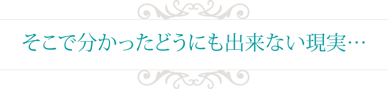 そこで分かったどうにも出来ない現実…