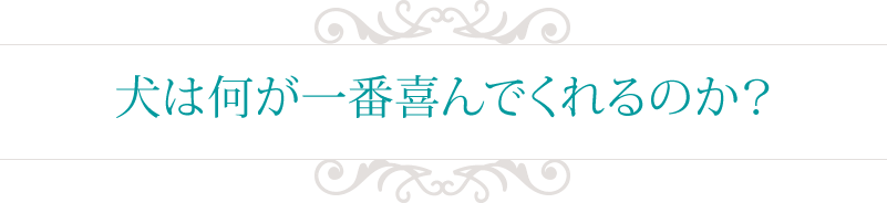 犬は何が一番喜んでくれるのか？