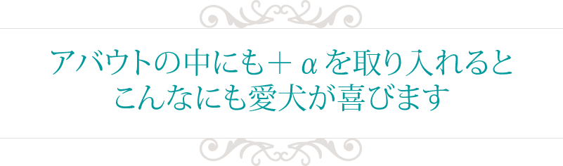 アバウトの中にも＋αを取り入れるとこんなにも愛犬が喜びます