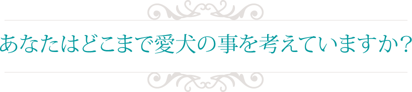 あなたはどこまで愛犬の事を考えていますか？