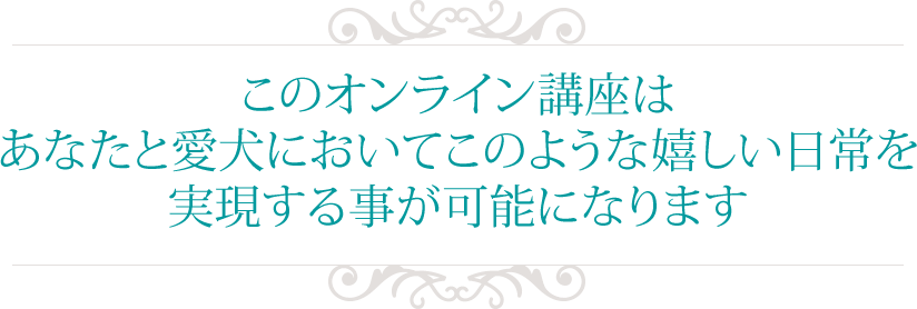 このオンライン講座はあなたと愛犬において
このような嬉しい日常を実現する事が可能になります