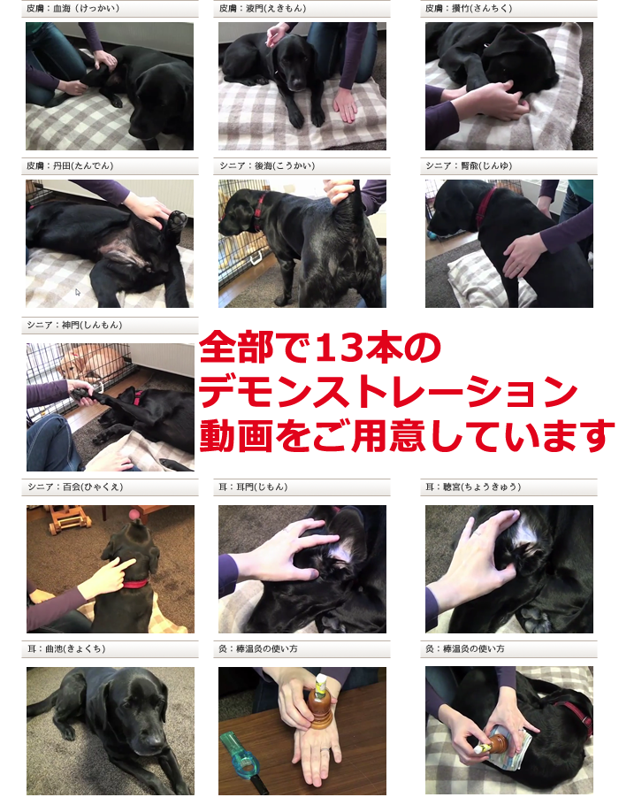 動画特典画像サムネイル