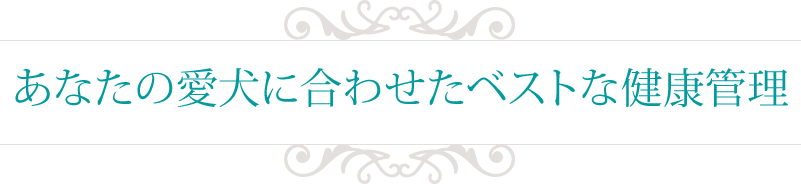 あなたの愛犬に合わせたベストな健康管理