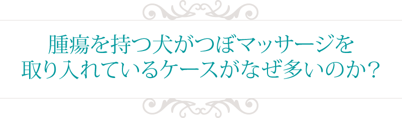 腫瘍を持つ犬がつぼマッサージを取り入れているケースがなぜ多いのか?