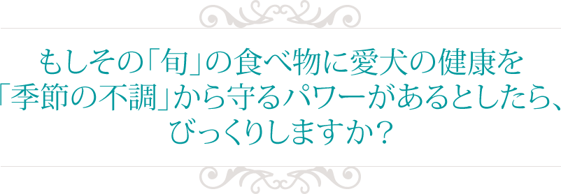 もしその「旬」の食べ物に愛犬の健康を
「季節の不調」から守るパワーがあるとしたら、びっくりしますか?