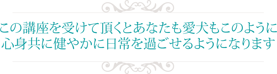 この講座を受けて頂くとあなたも愛犬もこのように
心身共に健やかに日常を過ごせるようになります
