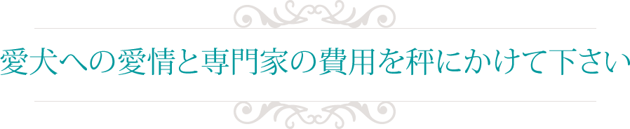 愛犬への愛情と専門家の費用を秤にかけて下さい